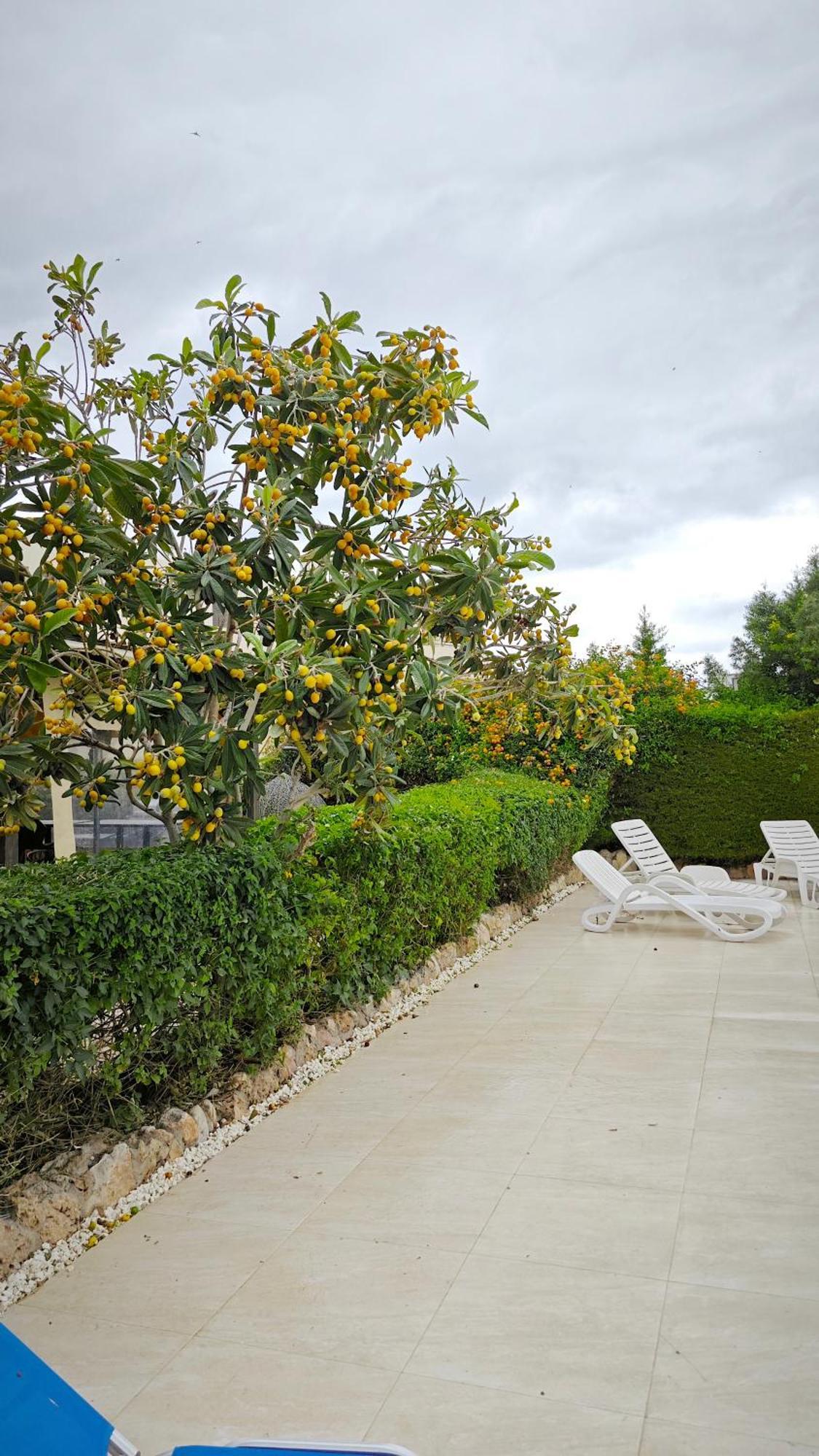 Byzantium Gardens - Green Paphos Eksteriør bilde